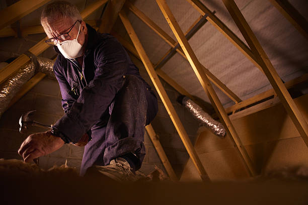 Best Insulation Installation Services in Leechburg, PA